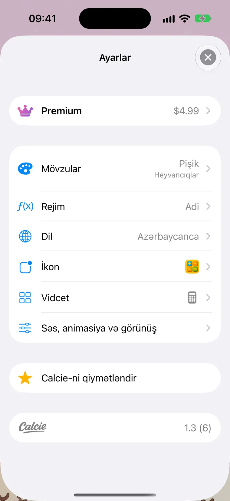 Ayarlar ekranı