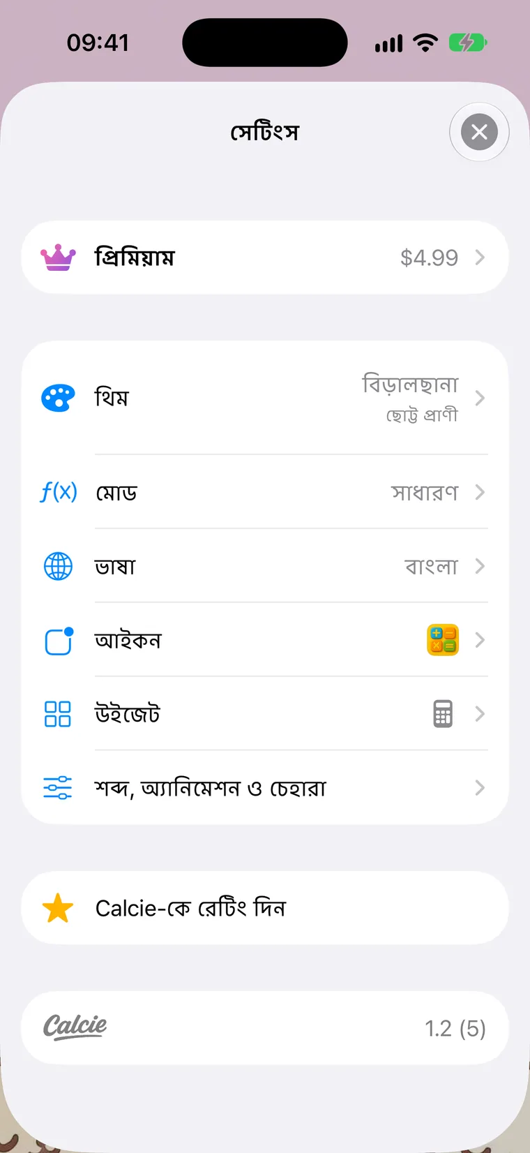 সেটিংস পর্দা