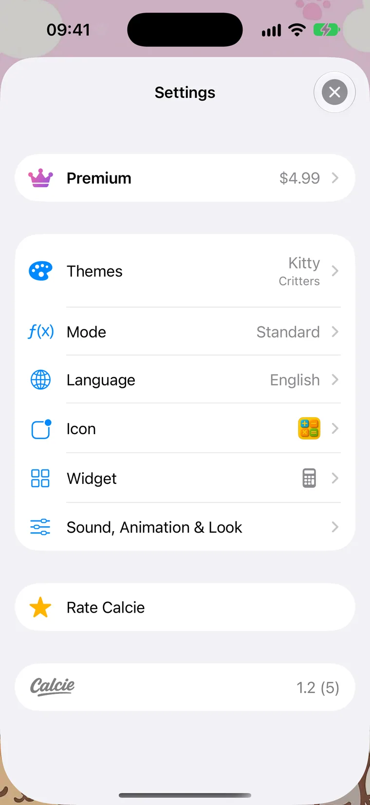The Settings screen