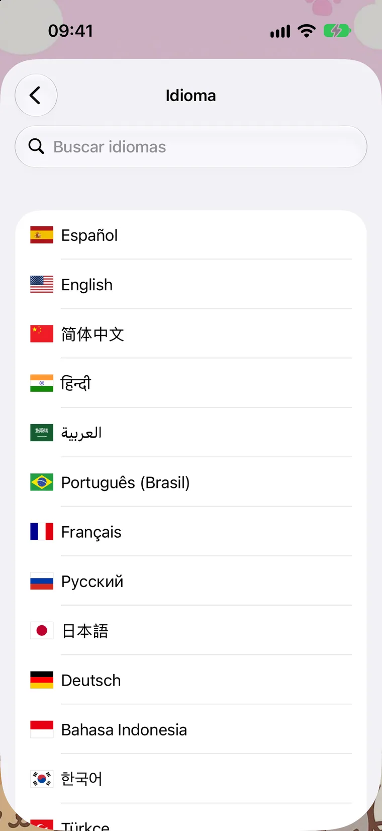 Idioma