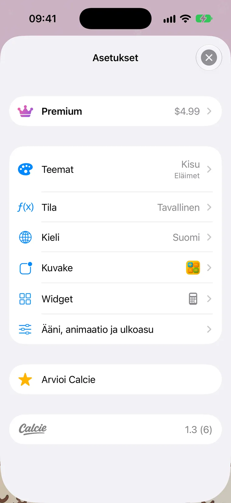 Asetukset-näkymä
