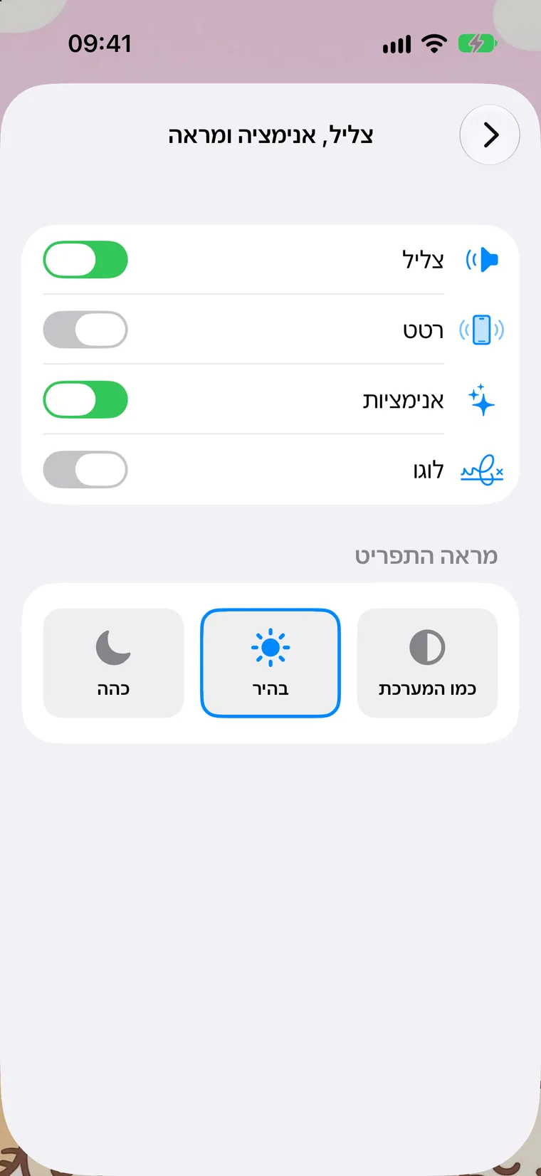 צליל, אנימציה ומראה