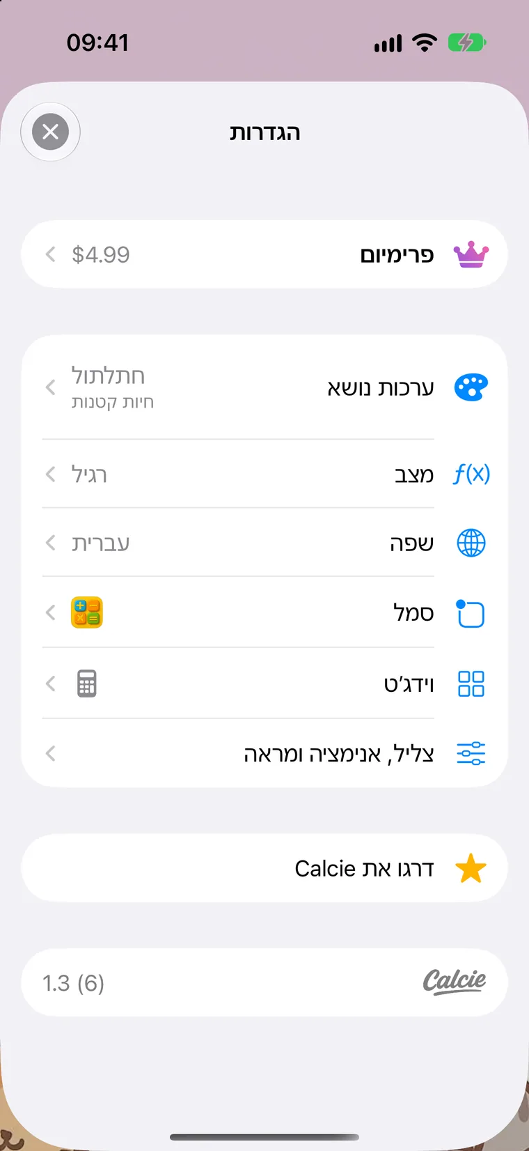 מסך ההגדרות