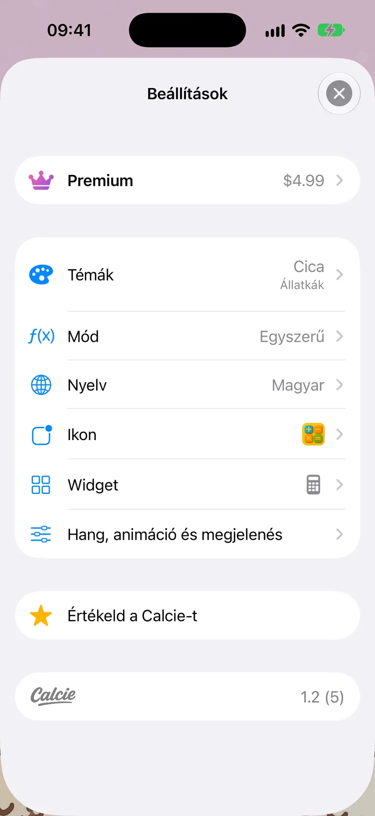 A Beállítások képernyő
