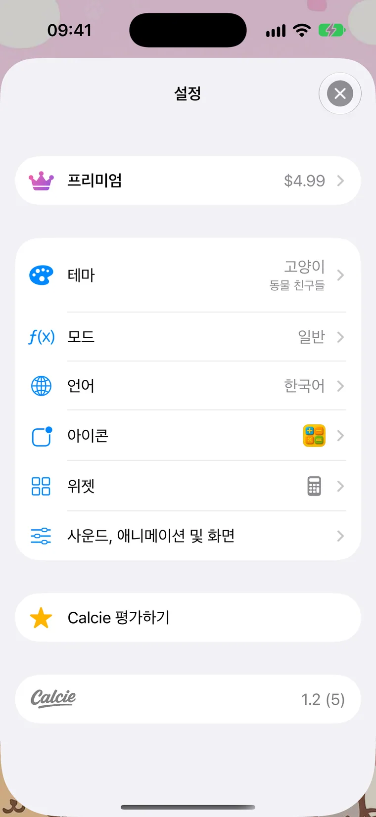 설정 화면