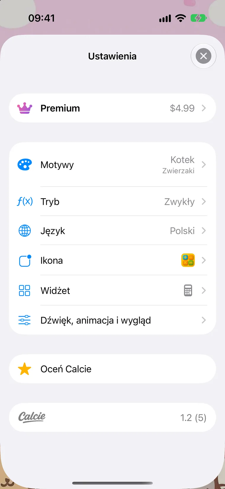 Ekran Ustawień