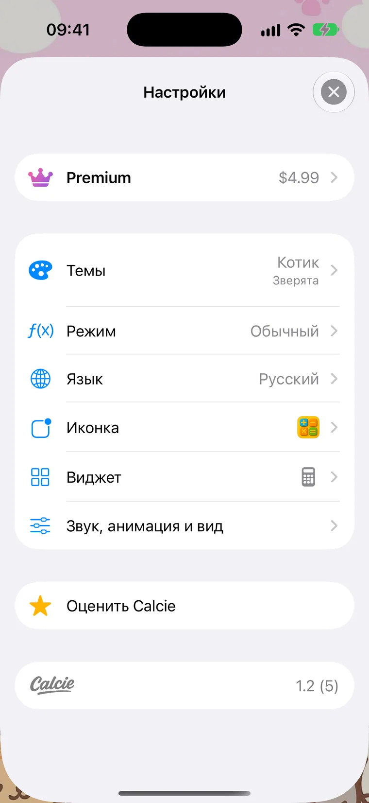 Экран настроек