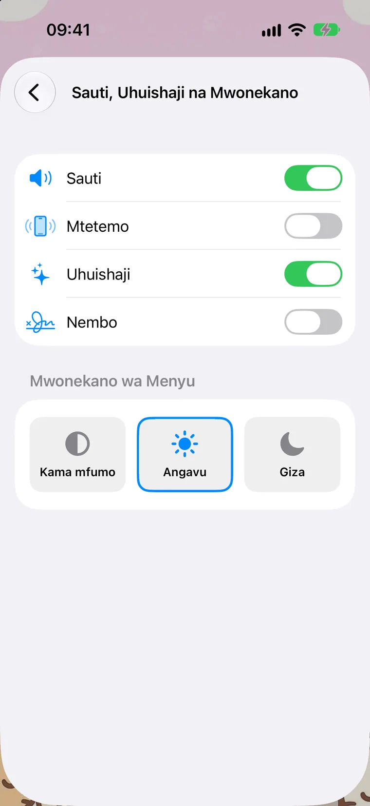 Sauti, Uhuishaji na Mwonekano