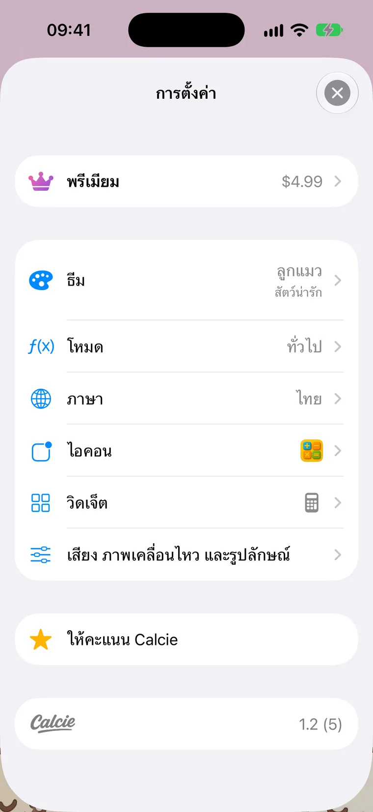 หน้าจอการตั้งค่า