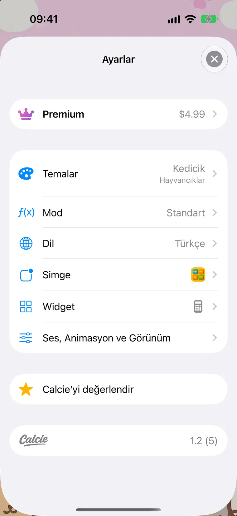Ayarlar ekranı