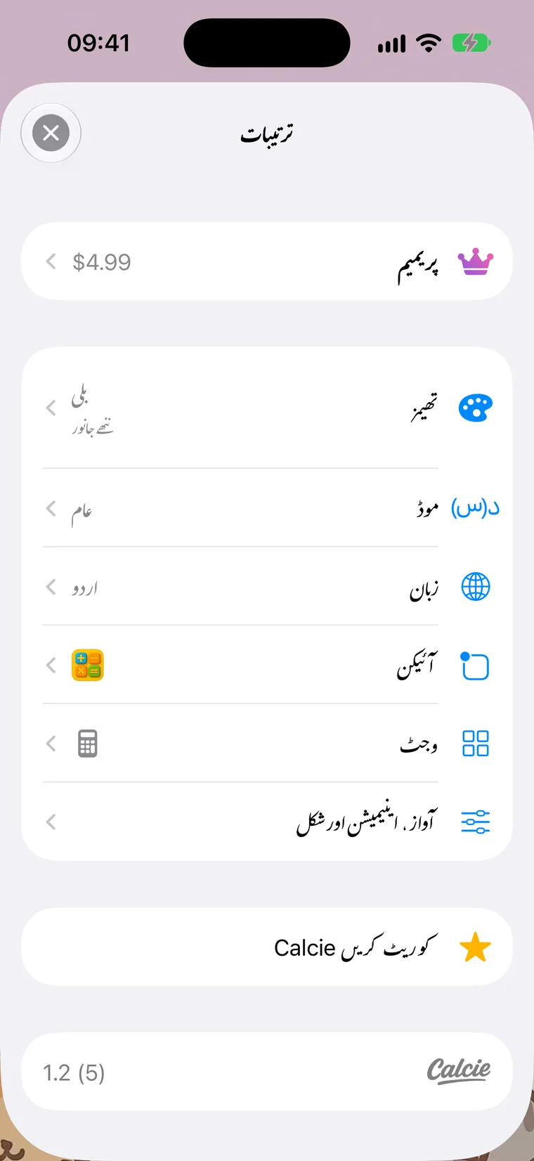 ترتیبات کی اسکرین
